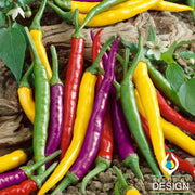 Pepper Seeds - Hot - Cayenne Fiesta Blend