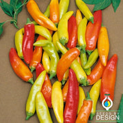 Pepper Seeds - Hot - Cochise F1