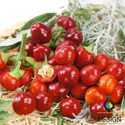 Pepper Seeds - Hot - Cherry Mini Hot F1