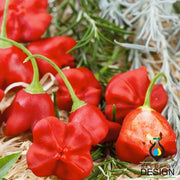 hot mushroom red pepper