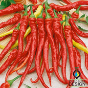 Pepper Seeds - Hot - Ristra Cayenne F1