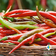 Pepper Seeds - Hot - Thai - Thai Dragon