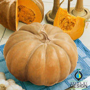 Pumpkin Seeds - Autumn Buckskin F1
