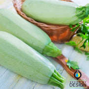 Summer Squash Vegetable Marrow White Bush