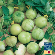 Tomatillo Grande Rio Verde Seeds