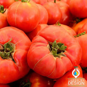 Tomato Beefsteak Vegetable Seed