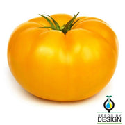 Tomato Seeds - Beefsteak Yellow