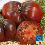 Tomato Seeds - Black Krim (Organic)