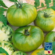 Tomato Seeds - Aunt Ruby's German Green - Organic