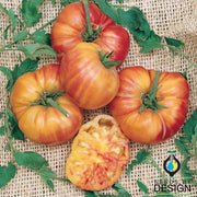 Tomato Seeds - Big Rainbow