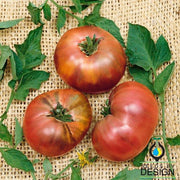 Tomato Seeds - Brandywine Black - Potato Leaf