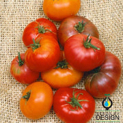 Tomato Seeds - Brandywine Blend