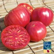 Tomato Seeds - Brandywine Pink (Organic)