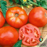 Tomato Seeds - Cherokee
