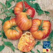 Tomato Seeds - Flame - Organic