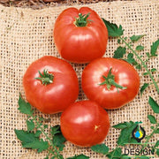Tomato German Johnson Seed