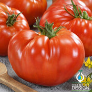 Tomato Seeds - Giant Red Beefsteak