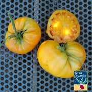 Tomato Seeds - Kellogg's Beefsteak - Organic