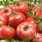 Tomato Seeds - Mannie Brown's