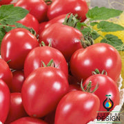 Tomato Seeds - Oxheart Pink