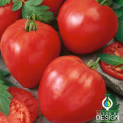 Tomato Seeds - Oxheart Red