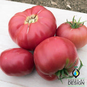 Tomato Seeds - Prudens Purple