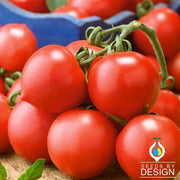 Tomato Seeds - Riesenstraube