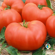 Tomato Seeds - Soldacki