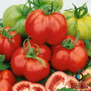 Tomato Seeds - Stuffer Red