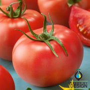 Tomato Seeds - Super Sioux