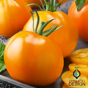 Tangerine Tomato Seeds