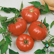 Tomato Seeds - Watermelon Beefsteak