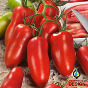 Tomato Seeds - Andiamo F1