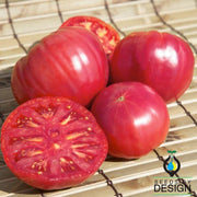 Brandymaster Pink F1 Hybrid Tomato Seeds