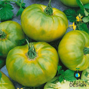 Tomato Seeds - Chef's Choice Green F1 AAS