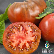 Tomato Seeds - Chef's Choice Purple F1