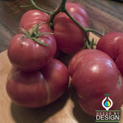 Tomato Seeds - Containers Choice Pink F1