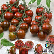 Tomato Seeds - Gum Drop Black F1