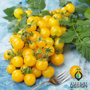 Tomato Seeds - Lemon Drop improved F1