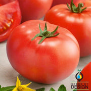 Tomato Seeds - Mountain Delight F1
