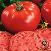 Tomato Seeds - Beefsteak Determinate