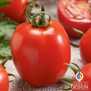 Tomato Seeds - Micado Violetter