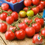 Tomato Seeds - Principe Borghese