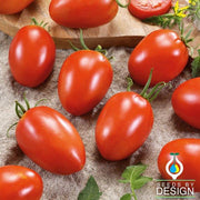 Tomato Seeds - Red Plum