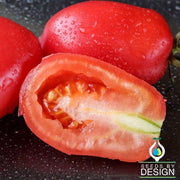 Tomato Seeds - Processing - Rio Fuego