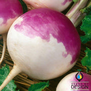 Turnip - Purple Top White Globe Garden Seeds