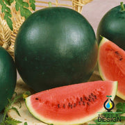 Watermelon Seeds - Splendor F1