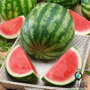 Watermelon Seeds - Triple Elite F1
