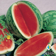 Watermelon Seeds - Triple Play F1