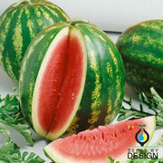 Watermelon Seeds - Triple Prize F1